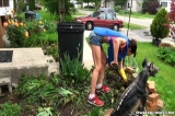 Daija: A Job Well Done 3